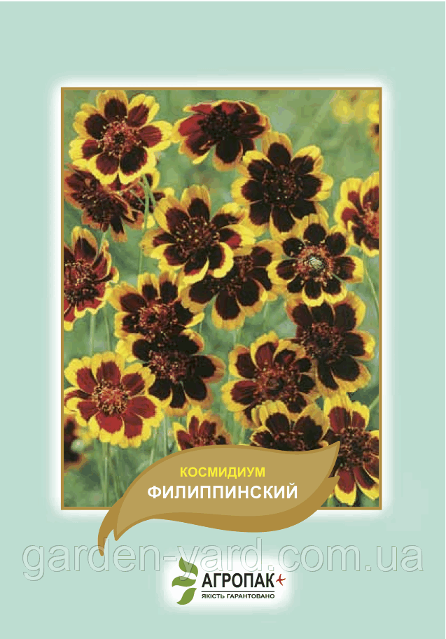 Насіння квітів Космидиум Філіппінський Агропак плюс