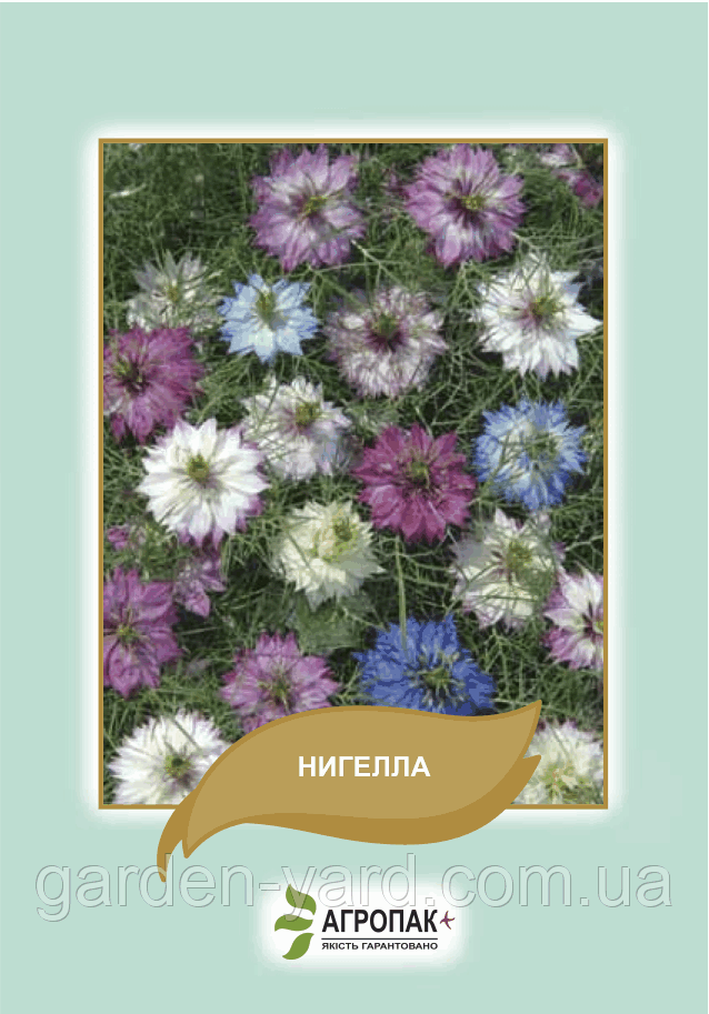 Насіння квітів Нигелла Агропак плюс