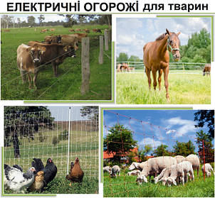 Електричні паркани, пастухи для тваринництва і птахівництва