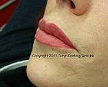 Пігмент для губ BERRY PERSISTENT ORGANIC 7ml, фото 2