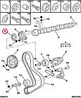 Сальник розпредвалу (55х70-8) Fiat Ducato 230, Peugeot Boxer, Citroen Jumper (94-02), 2.5/2.8, 98454041, 080729, фото 5