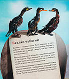 ПтахАбетка. Українські пернаті. Панаріна Ірена, фото 6