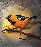 ПтахАбетка. Українські пернаті. Панаріна Ірена, фото 8