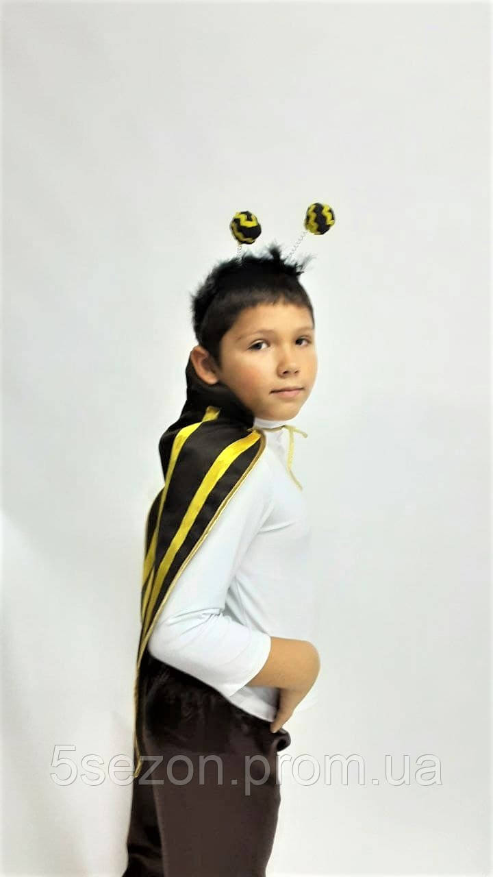 Купить Карнавальный костюм Жука Колорадского (с брюками), цена 740 грн ...