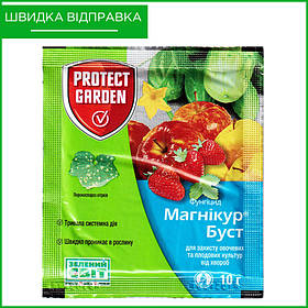 "Магнікур Буст" ("Альєтт"), 10 г, від Bayer, Німеччина. Фунгіцид для огірків, хмелю, цибулі, суниці.