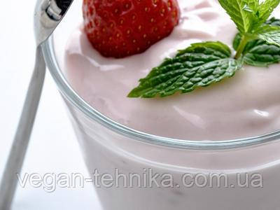 Хлібопічка бездрожжевая Sana Bread Maker Standard