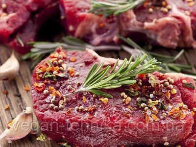 Хлібопічка бездрожжевая Sana Bread Maker Standard