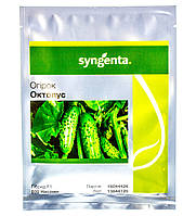 Огурец ОКТОПУС F1 Syngenta 500 шт