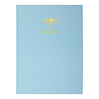 /Книга канцелярська FAVOURITE PASTEL А4 96 л карта офсет твламінована обкладинка блакитна