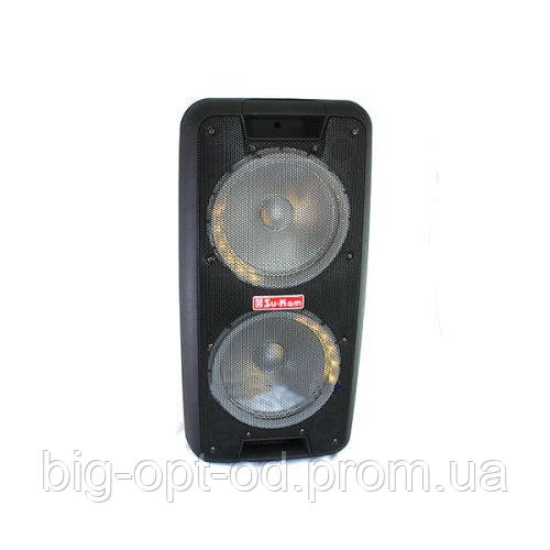 Портативна колонка Su-Kam 1010 + 2 бездротових мікрофона + Bluetooth (12v 220v)