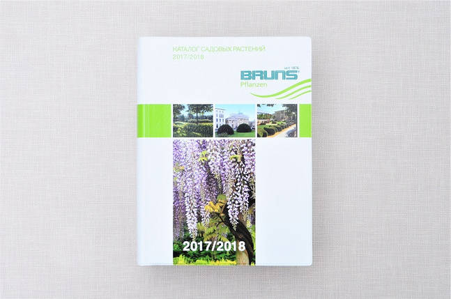 Каталог Брунс 2017-2018, фото 1