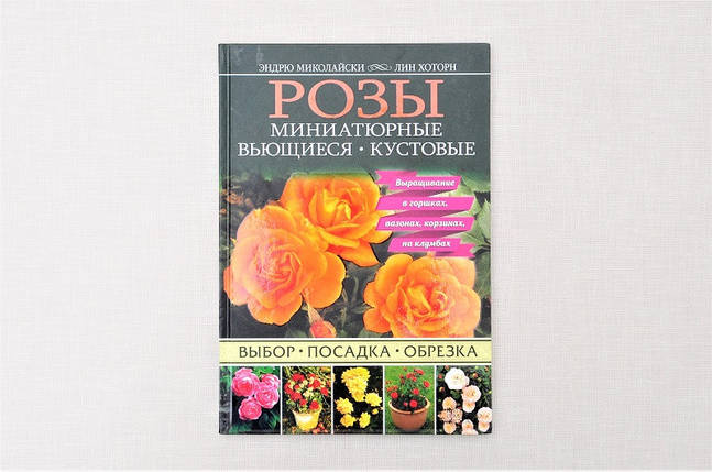 Троянди. Мініатюрні. Плетисті. Кущові, фото 1