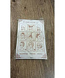 Шапочка сіточка під перуку для перуки шапка колір бежевий, фото 3