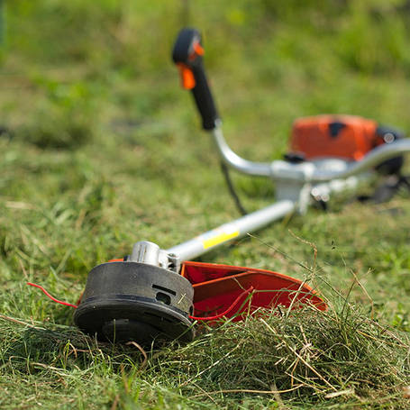 Ліски для тримерів