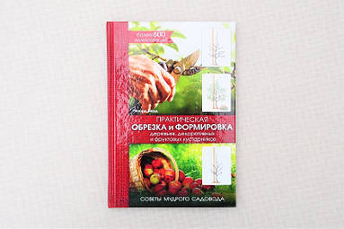 Практичне обрізання та формування дерев, декоративних і фруктових чагарників. Поради мудрого садівника.