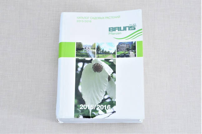 Каталог Брунс 2015-2016, фото 1