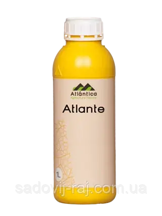 Біостимулятор Атланте (Atlante) 1 л Вітера Atlantica Agricola Іспанія