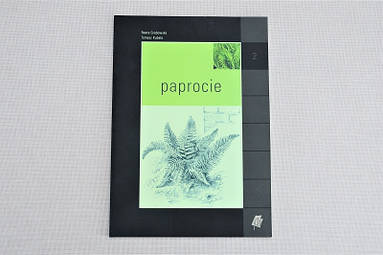 Каталог "Папороті"