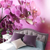 Фотообои Сиреневая орхидея над водой Артикул 10255