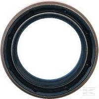 311564A1 (127684, 209-7465, 81870323) Сальник CNH