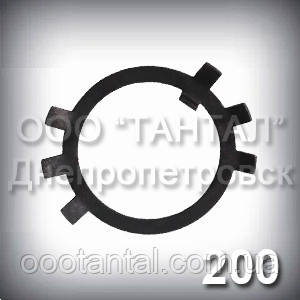 Шайба 200 ГОСТ 11872-89 стопорна багатолапчаста
