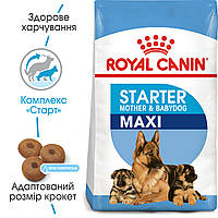 Сухий корм Royal Canin Maxi Starter для цуценят до 2 місяців та лактуючих сук