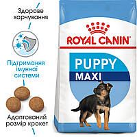 Сухой корм Royal Canin Maxi Puppy для щенков крупных размеров от 2 до 15 мес. 15