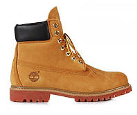 Зимові черевики на хутрі Timberland 6 inch "Yellow Boots" - "Світло - Коричневі" (Копія ААА+)