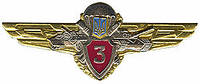 Нагрудний знак класності (3)