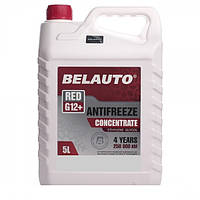 Антифриз Концентрат BELAUTO червоний 5L