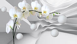 Фотообої Chameleon Орхідея 3д 100х100 см