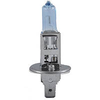 Brevia H1 12 V 55 W P14,5s Power White + 60% 4300 K CP (10/1000 шт.)