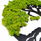 Панно для інтер'єрного декору з дерева та моху «Дерево життя», фото 3