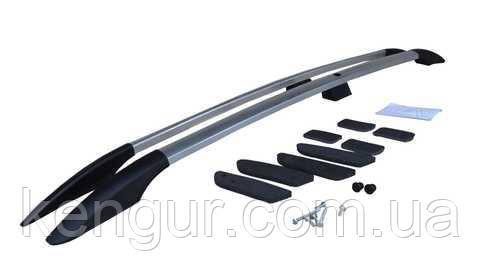 Рейлінги  (довга база, метал, ALM, ARP) Mercedes W639 2003-2013