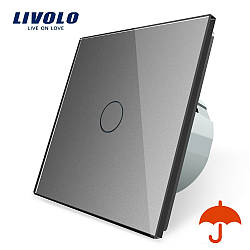 Сенсорний вимикач із захистом від бризок Livolo сіре скло (VL-C701IP-15)