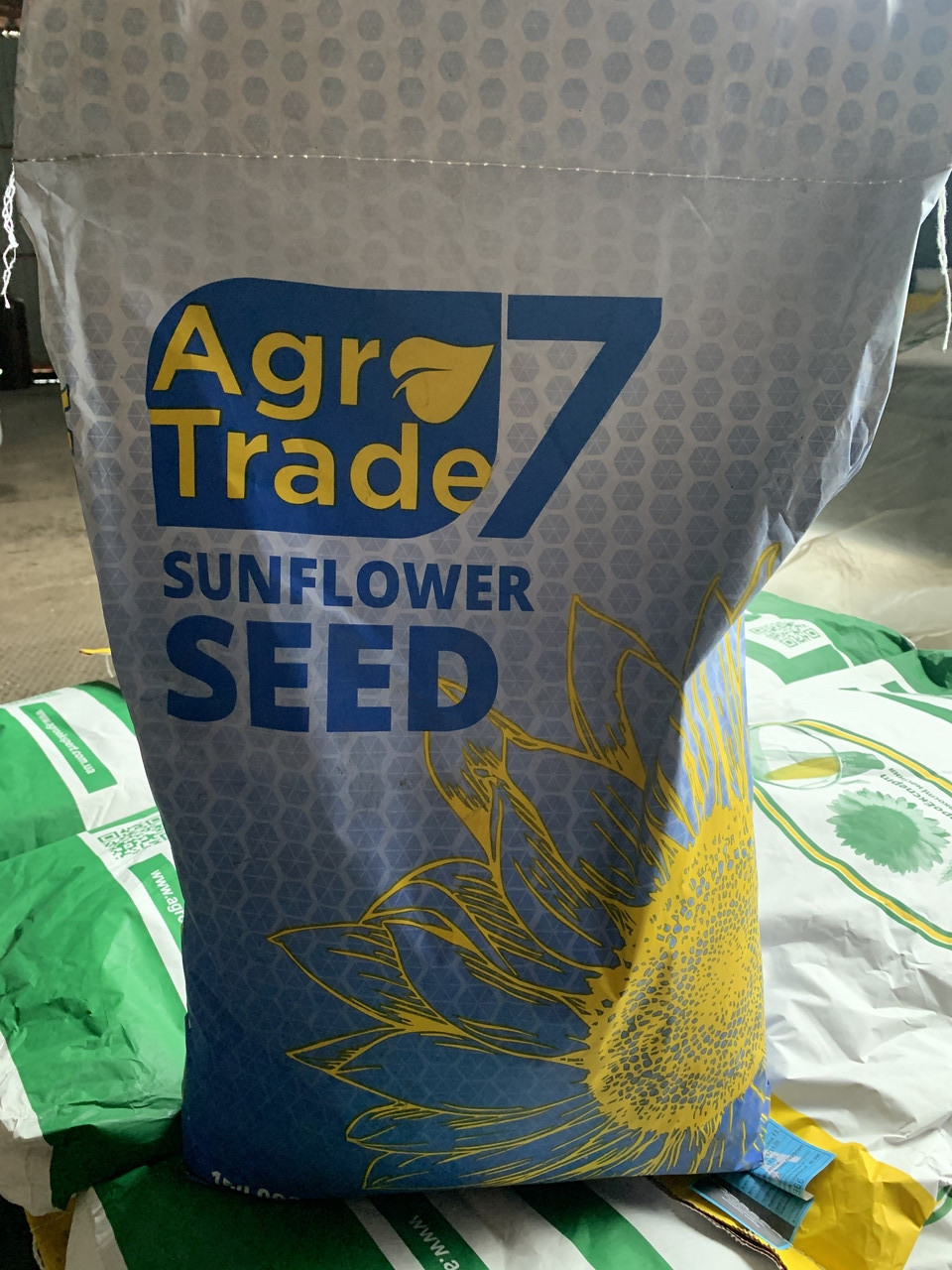 Насіння соняшника Златсон, фото 1