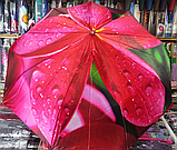 Жіноча парасолька напівавтомат на товстому карбоні, фото 2