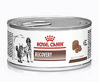 Royal Canin Recovery 12шт*195г-консерва Диета для собак и кошек в восстановительный период после болезни