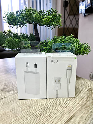 Блок + Кабель Lightning Apple iPhone 5, 5S, 6, 6S, 6Plus, 7, 7 Plus, 7+, 8, 8+,X, XR, фото 2