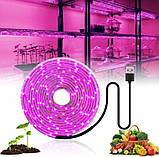 Фітолента для рослин 120 LED IP65 2м USB 5В, фото 2