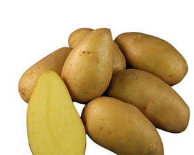 Насіннєва картопля Екскуза 1 кг середньостигла 1 репродукція AgroPlant