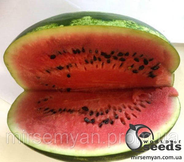 Кавун Дата F1 1 000 семена Lark Seesd USA, фото 1