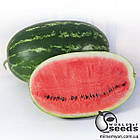 Кавун KS 632 F1, 100 семена Кітано, (KITANO Seeds)