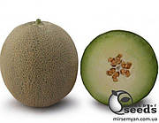 Диня KS 7044 F1, 100 нас, (KITANO)