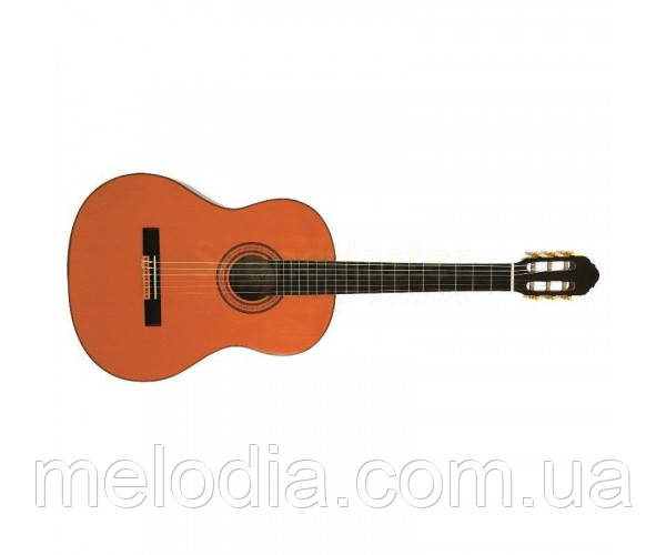 Класична гітара Класична гітара для декору EKO CS-15