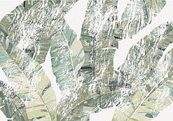 Фотообої Chameleon Бананове листя 100х100см