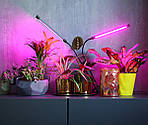 Led-лампа для рослин Wi-Grain фітолампа з таймером 4 гілки,треногою. Червоний і синій LED, фото 6