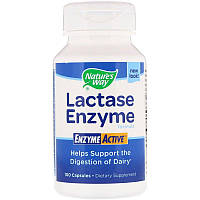 Nature's Way, Ферменти для засвоєння лактази Lactase Enzyme Formula, 100 капсул