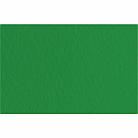 Папір для пастелі Tiziano A3 (29,7*42 см), No37 biliardo, 160 г/м2, зелений, середній зерно, Fabriano