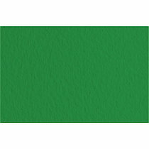 Папір для пастелі Tiziano A3 (29,7*42 см), No37 biliardo, 160 г/м2, зелений, середній зерно, Fabriano